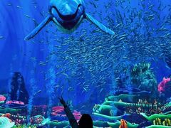 -太平洋海底世界