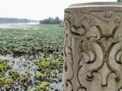 -东湖落雁景区