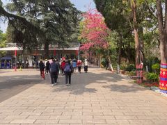 -昆明动物园