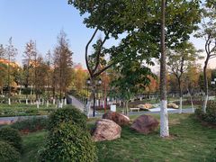 -映月湖公园