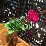 鱼田会在晋江很多连锁，这次中了霸王餐是桥南店