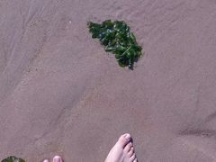 -北戴河东海水浴场