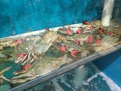-福泉海码头(六里山店)