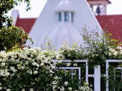 -玄武湖景区-情侣园游乐场