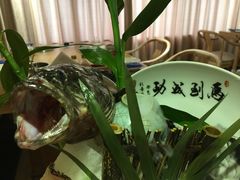 -尚海豆捞(乐虹坊店)