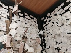 -茶颜悦色(岳麓山顶店)