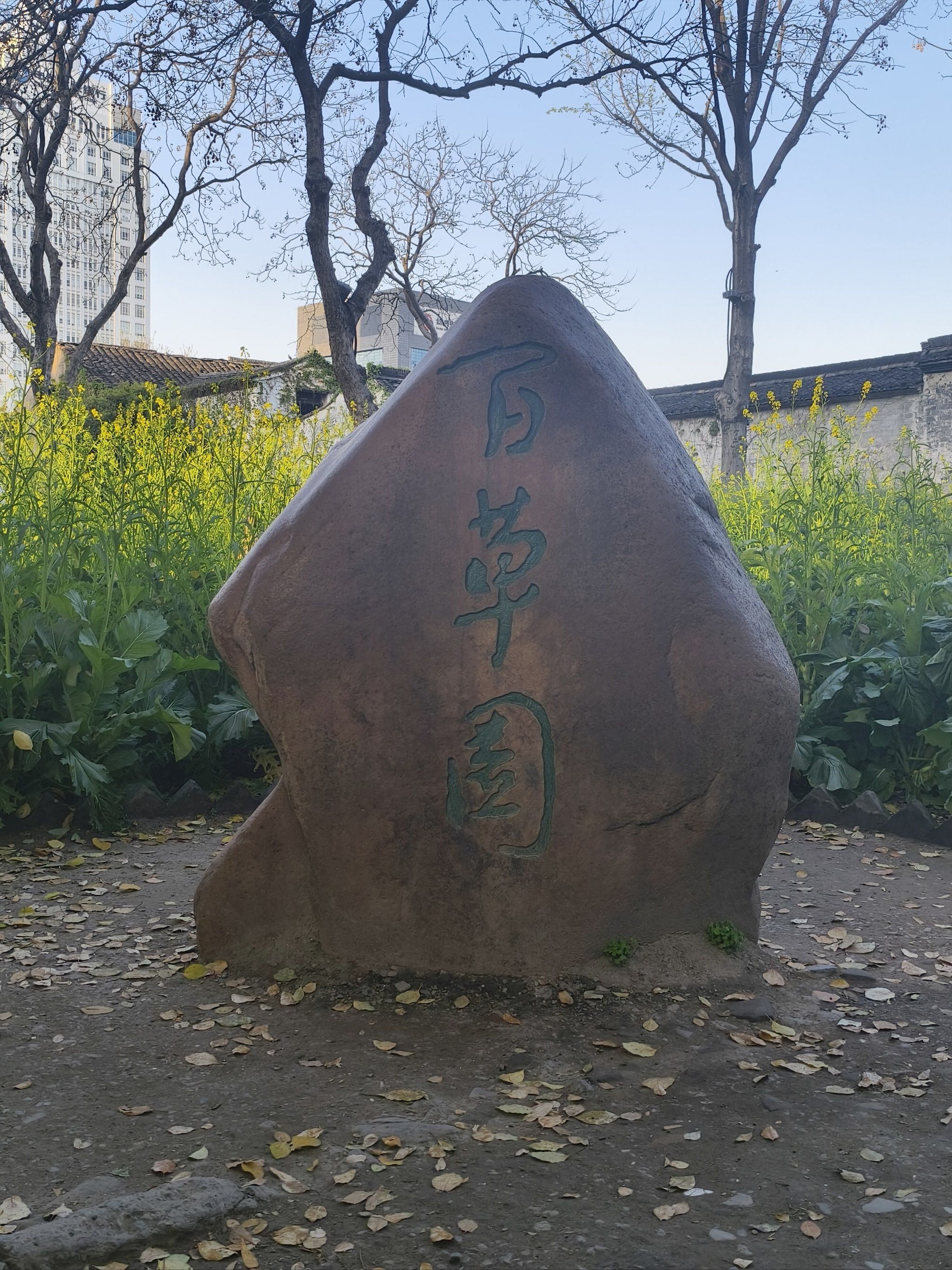 从百草园到三味书屋,毕业来故地重游啦