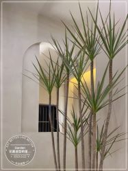 点击看大图 -Garden花園造型