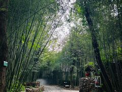 -竹泉村旅游度假区