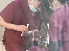 -芭比堂动物医院·CT·微创中心(新顺分院)