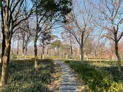 -自然谷恐龙园