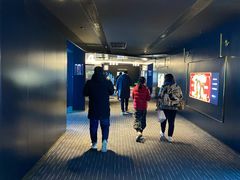 -奥斯卡升龙国际影城(RealD Cinema)