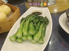 -金龙寨(龙城路店)