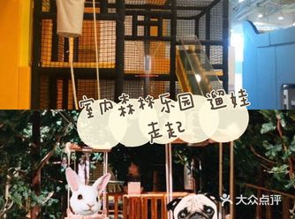 室内森林 原汁原味大自然
