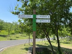 -宜兴龙背山森林公园