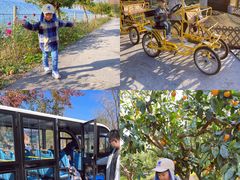 -上海长兴岛郊野公园