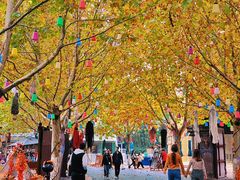 -郑州方特梦幻王国