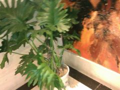 楼梯拐角的花1-世纪缘国际会议中心·中餐厅(百家湖店)