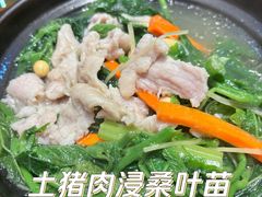 -猪腰世家·粤菜猪腰汤(江西路店)
