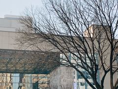 -青岛市图书馆