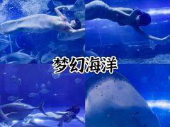 -华夏文旅西安度假区