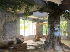 -海南热带野生动植物园
