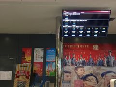 -汉阳天河电影城(王家湾店)