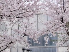 -龙美术馆(西岸馆)