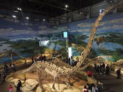 -自贡恐龙博物馆