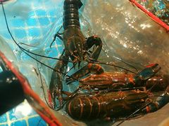 -驻海渔市(置信店)
