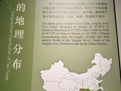 -中国茶叶博物馆(双峰馆区)