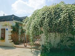 -三圣花乡旅游区