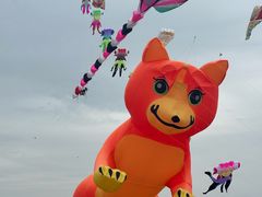 -潍坊滨海云门国际风筝放飞场