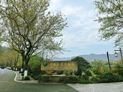 -中国茶叶博物馆(双峰馆区)