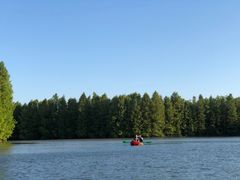 -上海海湾国家森林公园