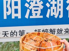 -乡乐园蟹庄·阳澄湖农家乐