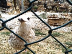 -石家庄市动物园