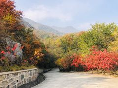 -北京鹫峰国家森林公园