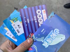 -海合安成都极地海洋公园