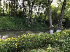 -桤木河湿地公园