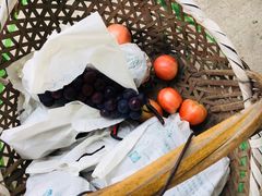 -马陆小张葡萄园农家乐