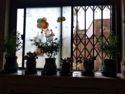 -瑞丝澜国际瘦身