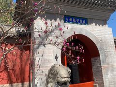 -红螺寺