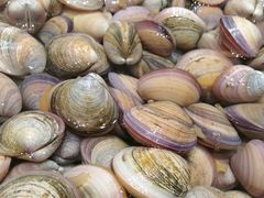 -SEA西雅图海鲜自助餐厅(海乐世界店)