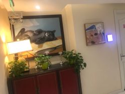 -咪咪比基尼脱毛专业店