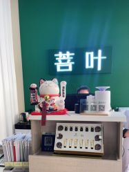 -菩叶脱发白发中心