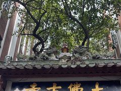 -大佛古寺