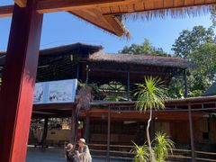 -海南槟榔谷黎苗文化旅游区