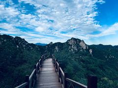 -大岭沟猕猴桃谷风景区