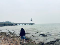 -野狸岛